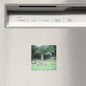 古代マヤ遺跡コパンN.W.ホンジュラス写真 マグネット (インサイチュ (食洗機))