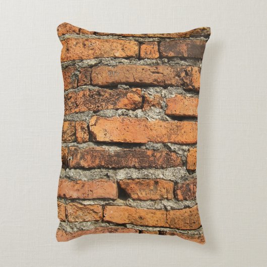 古代レンガの壁 アクセントクッション (裏面(縦))