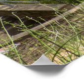 古代ローマ水道 ポスター (角)