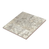 古代ローマ、イタリアの地形図 タイル (側面)