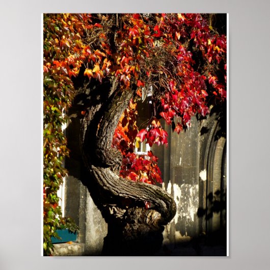 古代人 ポスター (正面)