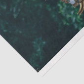 古代仏ティッシュペーパー 薄葉紙 (詳細)