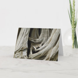 古代木のハートカード カード