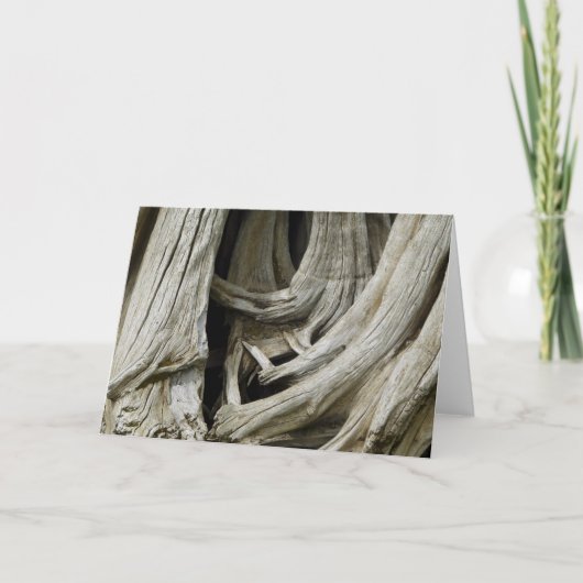 古代木のハートカード カード (正面)