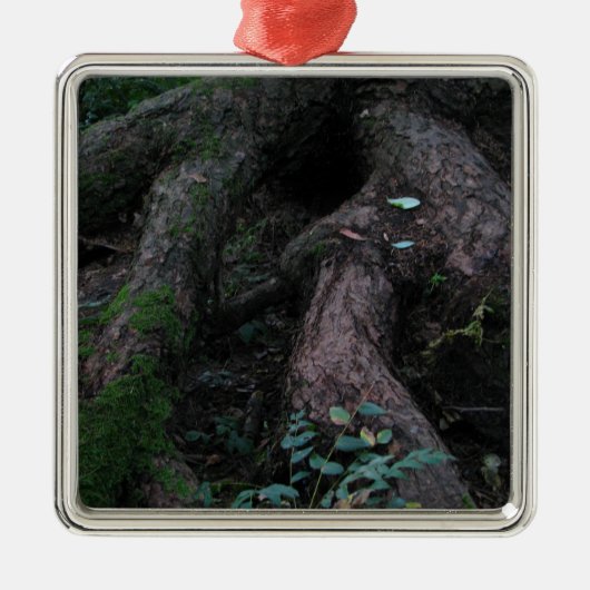 古代根 メタルオーナメント (正面)