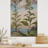 古代植物芸術ゴールデンロッド ポスター (キッチン)