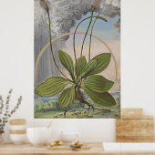 古代植物芸術ブロードリーフプレインテン ポスター (キッチン)