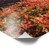 古代遺跡アティーナプロナイア寺院 フォトプリント            (角)