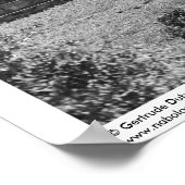 古代遺跡:メキシコのユカタン州ラブナへの玄関口 ポスター (角)