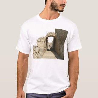 古代Caesareaのアーク Tシャツ