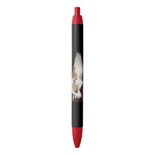 古代Shineseの秘密のペン 黒ボールペン (正面縦)