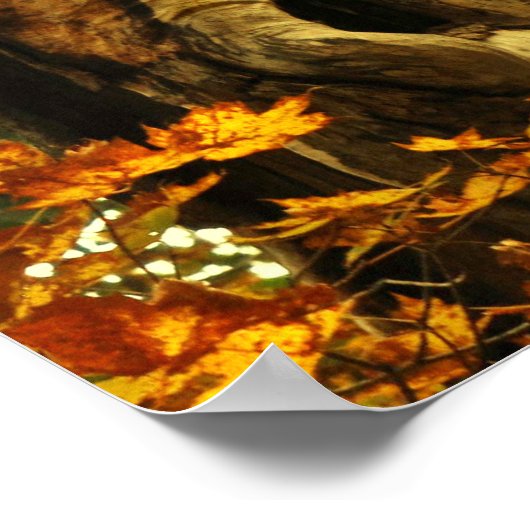 古木 ポスター (角)