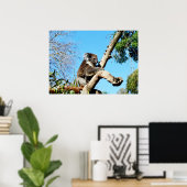 古松の木にコアラ熊，ポスター ポスター (ホームオフィス)