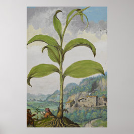 古植物芸術ソロモンズシール ポスター