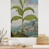 古植物芸術ソロモンズシール ポスター (キッチン)