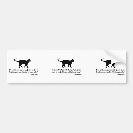 古猫の諺 バンパーステッカー (正面)
