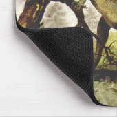 古生代の恐竜、板竜が木を食べる マウスパッド (コーナー)