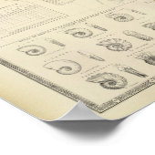 古生物学地図イギリス諸島 ポスター (角)