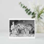 古生物学者ベビー恐竜ヴィンテージ ポストカード (スタンド正面)