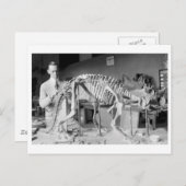 古生物学者ベビー恐竜ヴィンテージ ポストカード (正面/裏面)