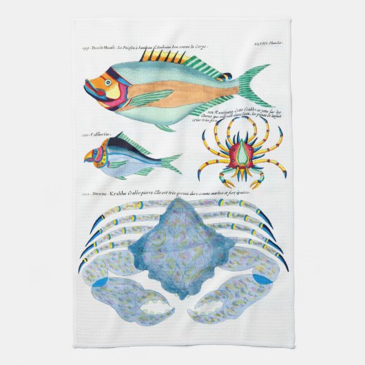 古紙に描かれた魚と蟹 キッチンタオル (縦)