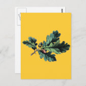 古董植物図鑑 オークの葉とどんぐり ポストカード (正面/裏面)