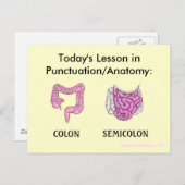 句読点/解剖学のレッスンはがき ポストカード (正面/裏面)