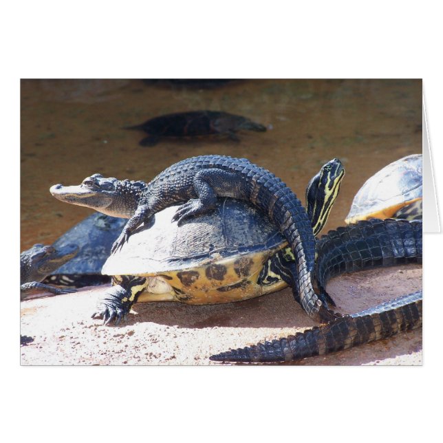 只乗り (正面横)