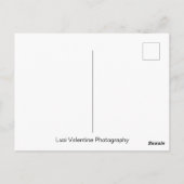 叫びペンギン ポストカード (裏面)