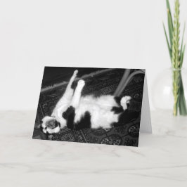 叫び猫用ベルト誕生日カード カード