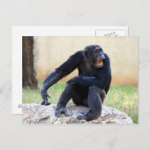 叫び鈴はがき ポストカード (正面/裏面)