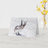 叫ぶペンギン カード (黄色い花)