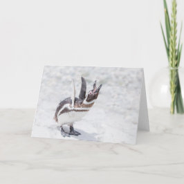 叫ぶペンギン カード