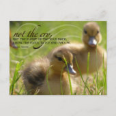 「叫んではいけない」リーダーシップ感動的引用文 ポストカード (正面)