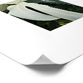 可変スイスチーズプラントフローラ ポスター (角)