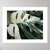 可変スイスチーズプラントフローラ ポスター (正面)