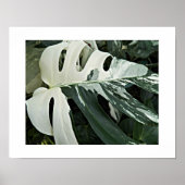 可変スイスチーズプラントフローラ ポスター (正面)