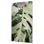 可変型モンステラ植物植物学 クリップボード (左)