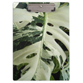 可変型モンステラ植物植物学 クリップボード (正面)