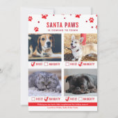 可愛いいけなか素敵な4つのペットのクリスマスフォト シーズンカード (正面)