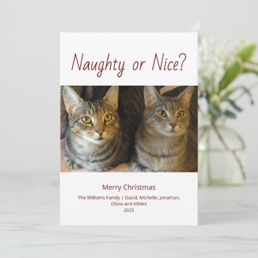 可愛いいけな猫の写真クリスマス シーズンカード (スタンド正面)