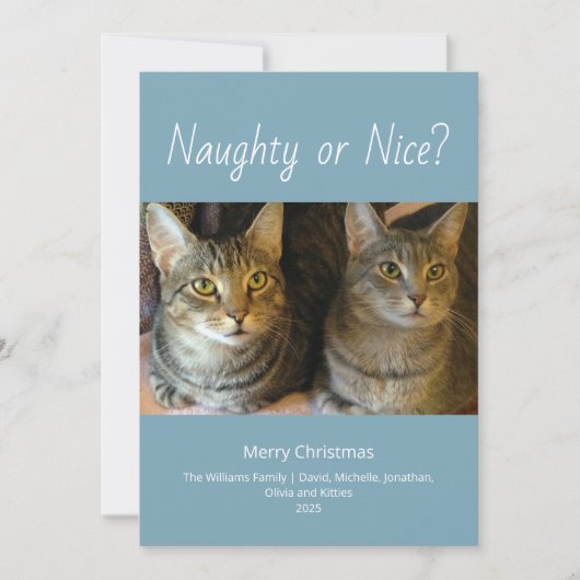 可愛いいけな猫写真家族クリスマス シーズンカード (正面)