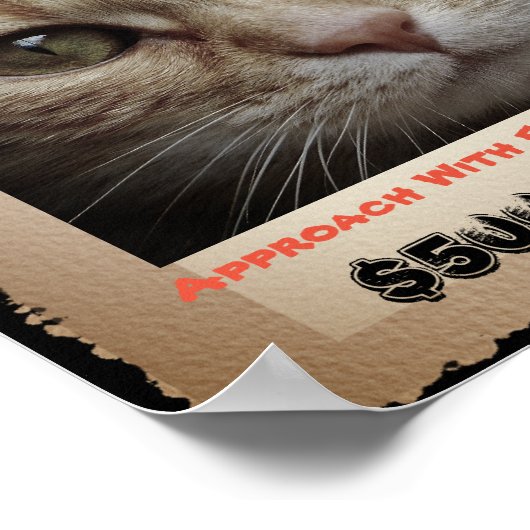 可愛いおもしろいねこ募集写真 ポスター (角)