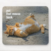 可愛いおもしろいシャドーボクシング砂利のオレンジキャット マウスパッド (正面)