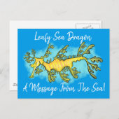 可愛いおもしろいチラシの海ドラゴン漫画イラストレーション ポストカード (正面/裏面)