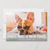 可愛いおもしろいドッグキャットトリートホリデーフォトカード シーズンカード (正面)