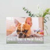 可愛いおもしろいドッグキャットトリートホリデーフォトカード シーズンカード (スタンド正面)