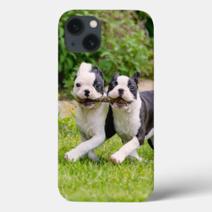 可愛いおもしろいボストン・テリアの犬の子犬遊たち – iPhone 13ケース