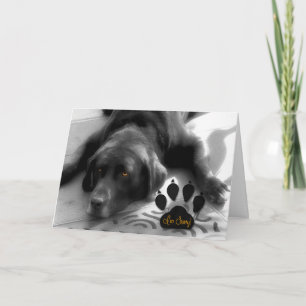 可愛いおもしろいラブラドール犬 カード