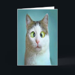 可愛いおもしろい猫熱狂する誕生日カード シーズンカード<br><div class="desc">ユーモアおもしろいの理論による可愛い猫の誕生日カードあいさつカード。</div>